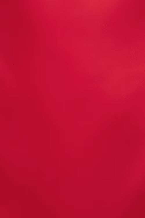 Selina Satin Mini Dress